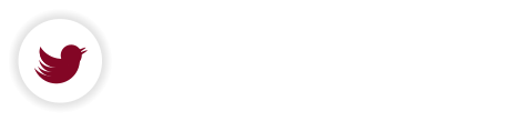 + S Folge uns auf Twitter, um immer auf dem neuesten Stand zu bleiben!