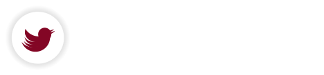 + S Folge uns auf Twitter, um immer auf dem neuesten Stand zu bleiben!